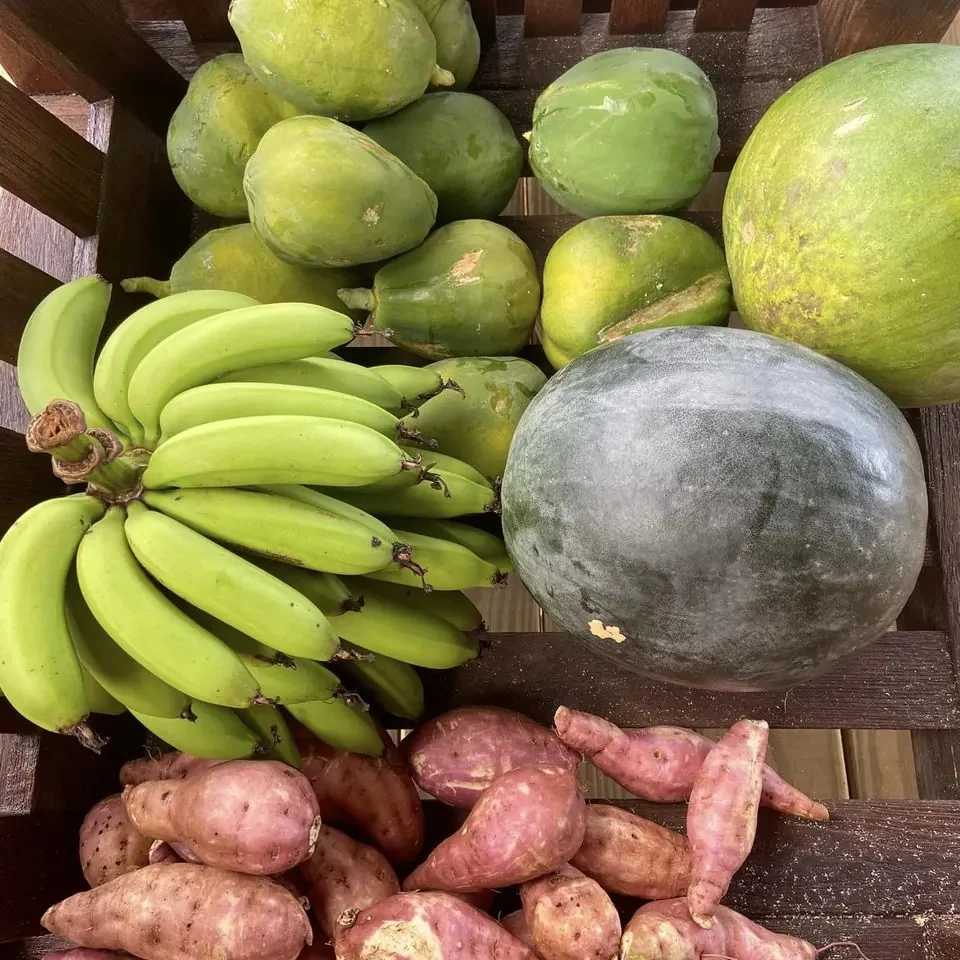 Wenner Hill Gardens Tropical Produce Harvest